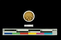 藏品(褐鐵礦)的圖片